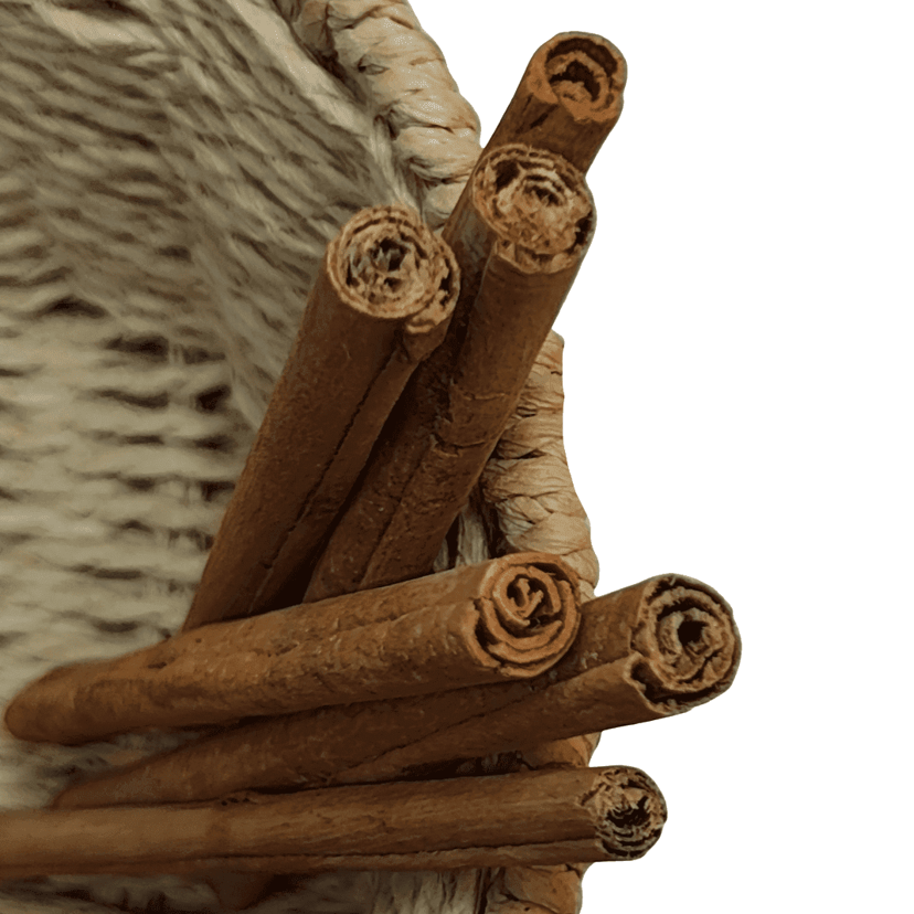 Cannelle en Bâtons de Madagascar - 6 Bâtons de 15cm - Qualité Premium